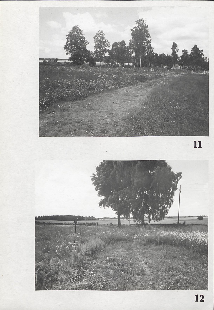 Karta cmentarza, skan nr 10