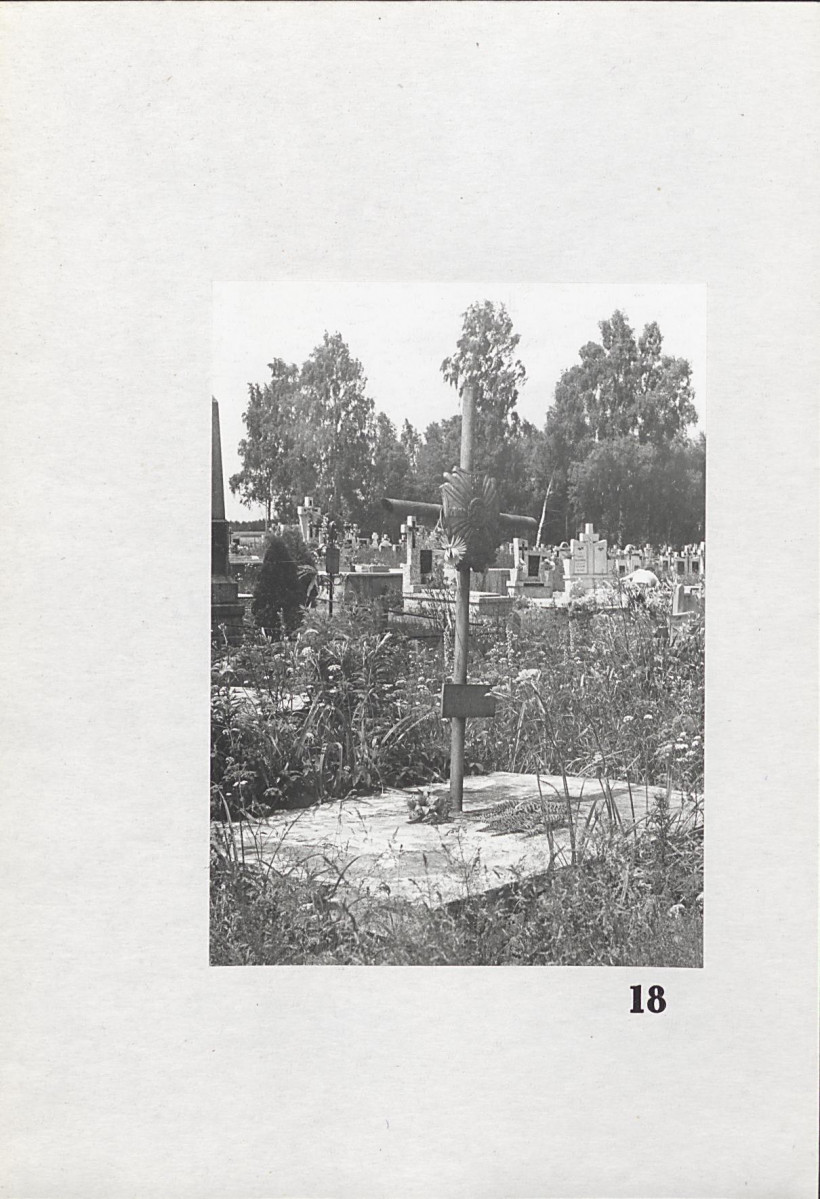 Karta cmentarza, skan nr 14