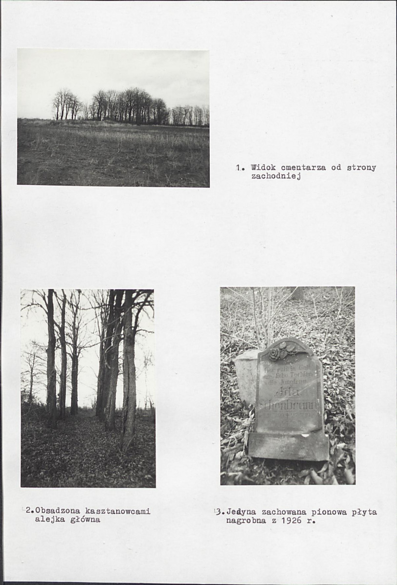 Karta cmentarza, skan nr 4
