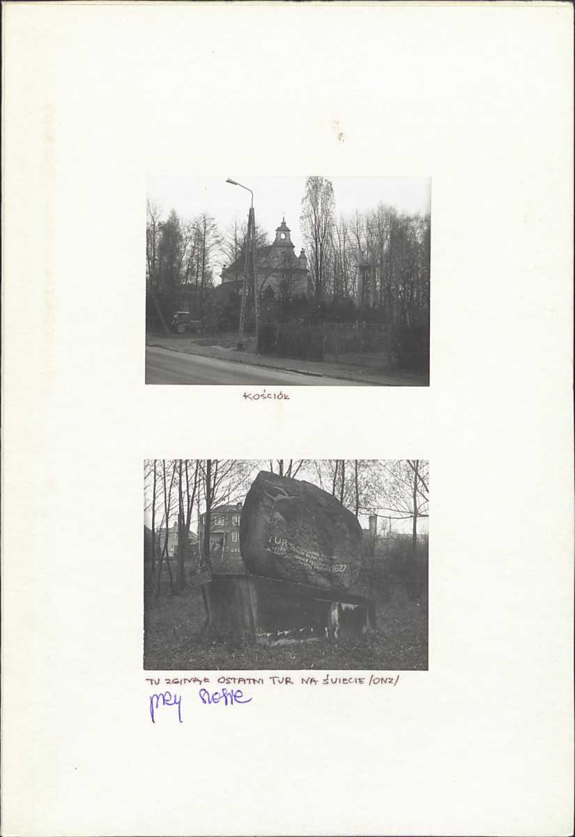 KC - Karta cmentarza, skan nr 6