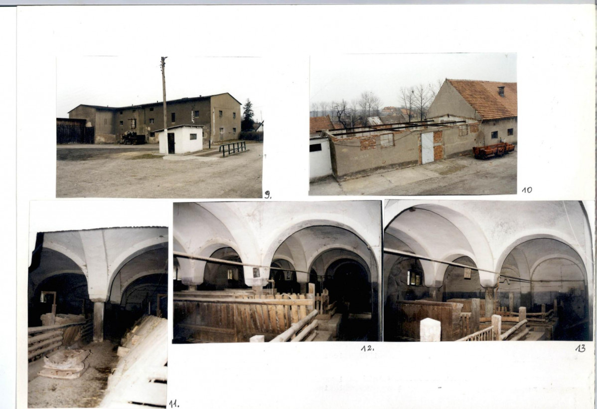 Karta biała, skan nr 12