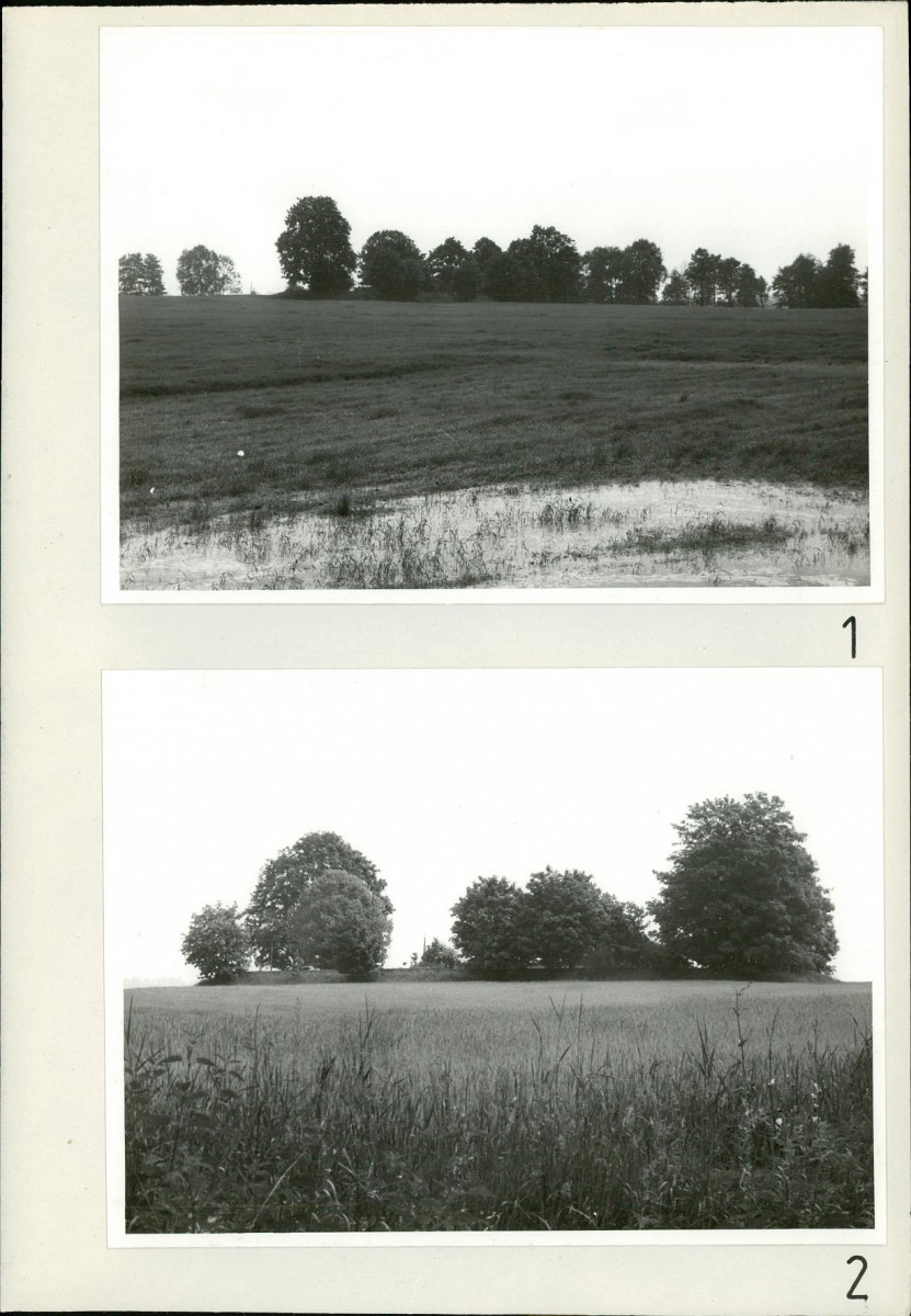 Karta cmentarza, skan nr 5