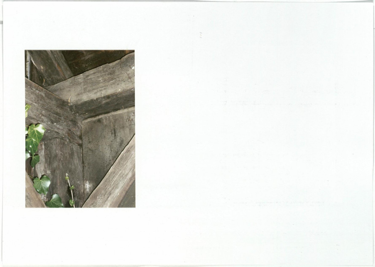 Karta biała, skan nr 10