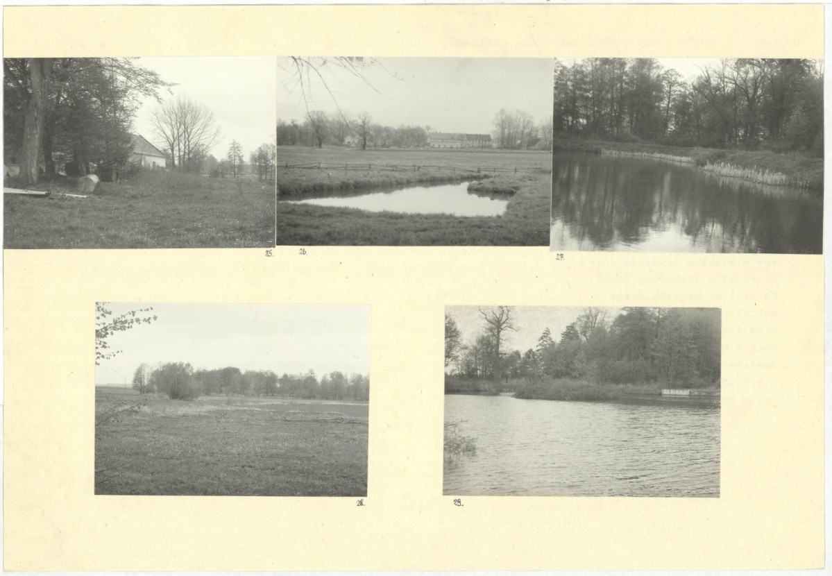 Karta biała, skan nr 13