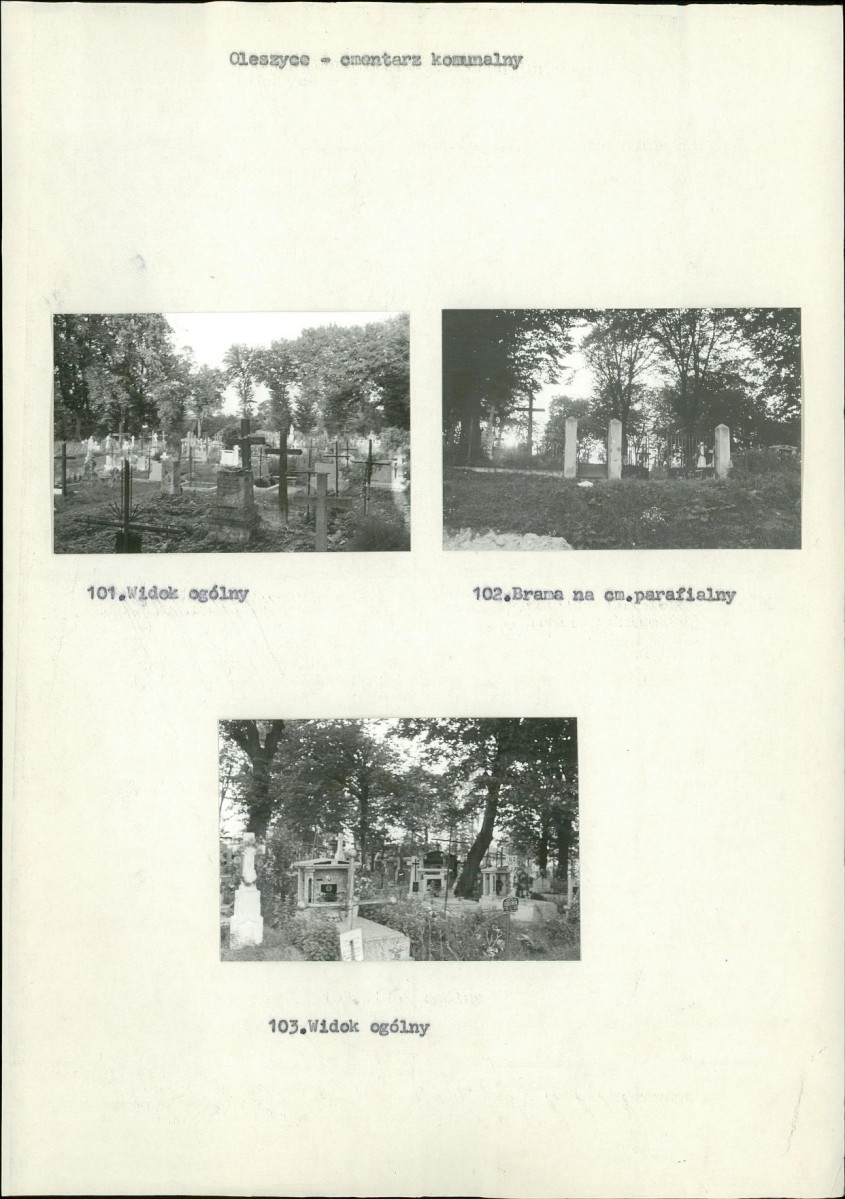 Karta cmentarza, skan nr 29