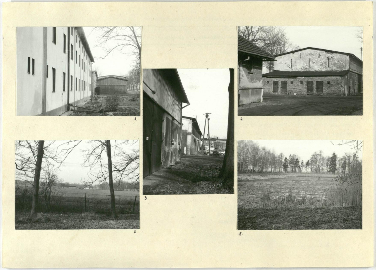 Karta biała, skan nr 6