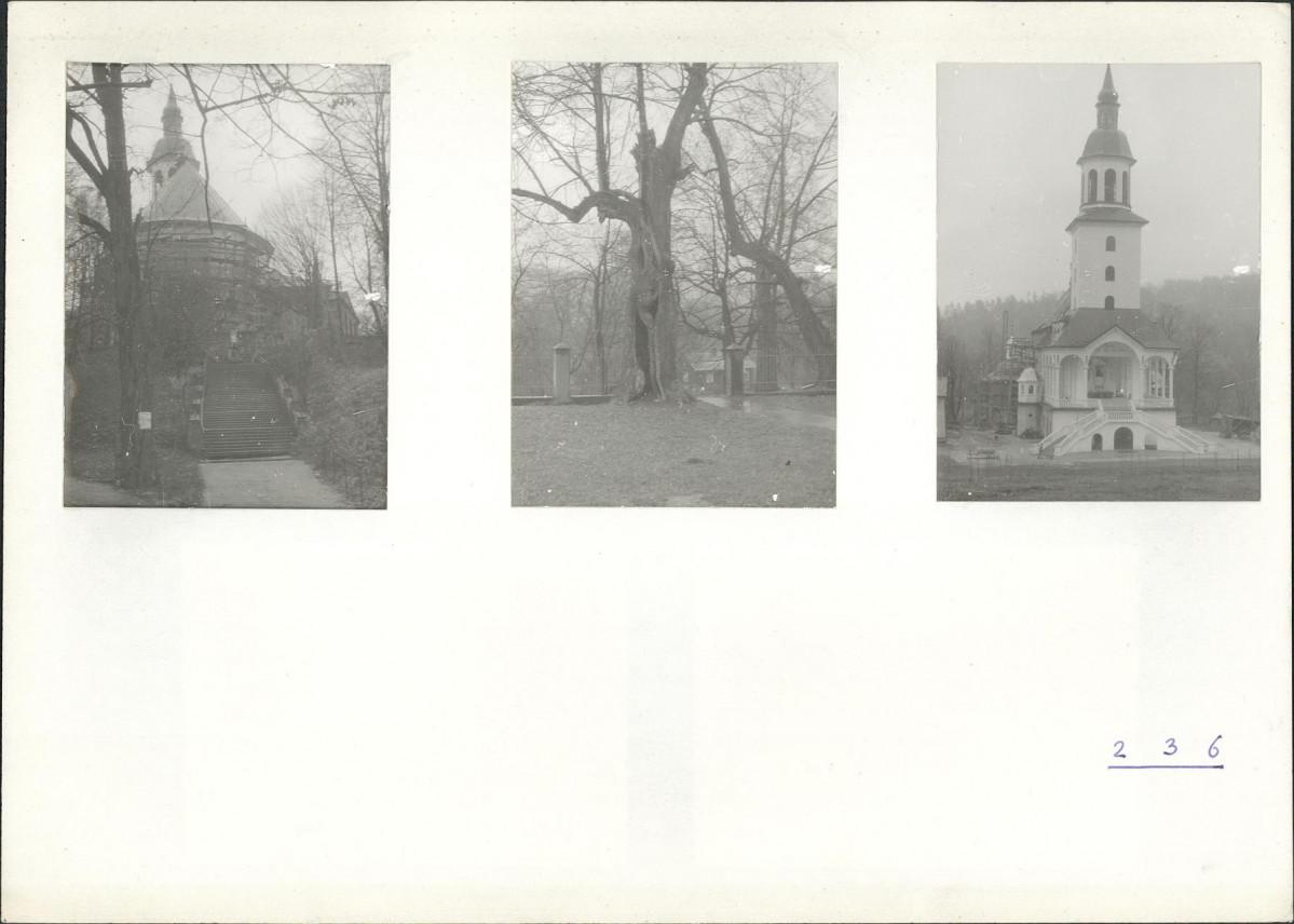 Karta cmentarza, skan nr 6