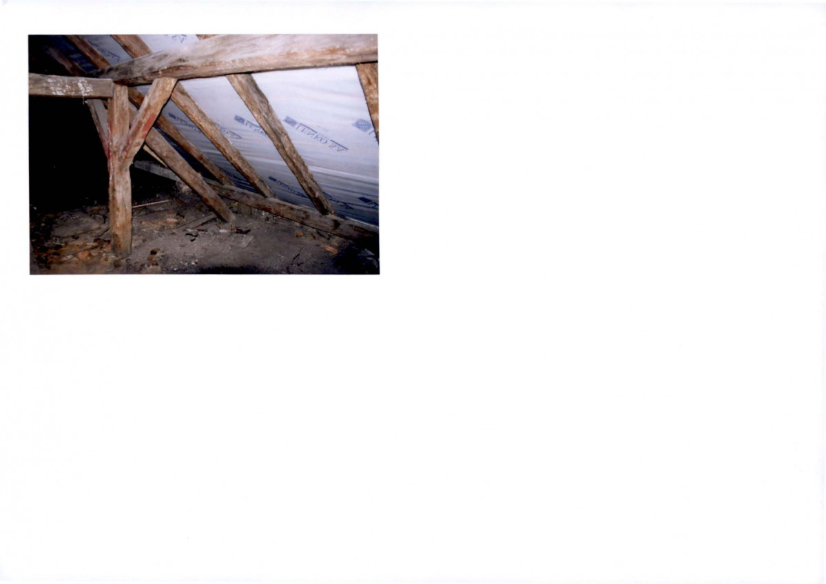 Karta biała, skan nr 29