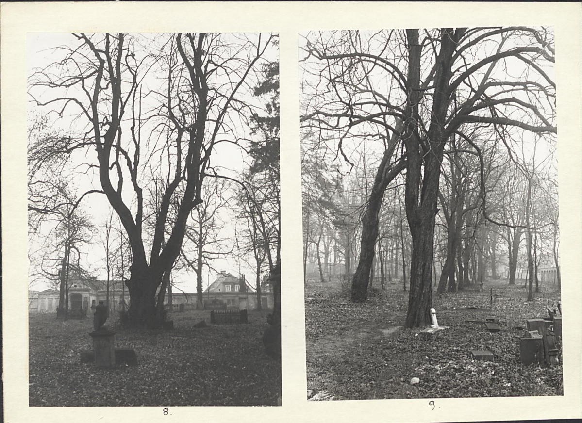 Karta cmentarza, skan nr 8