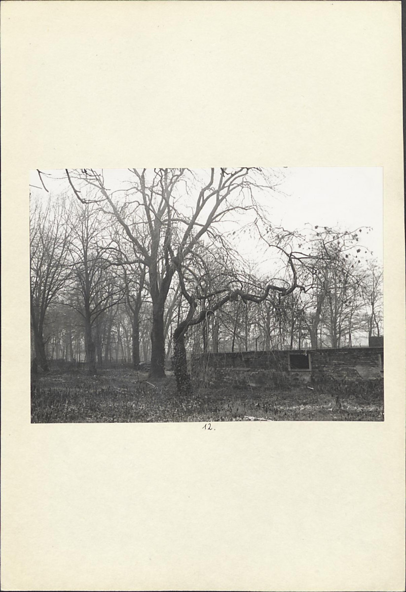 Karta cmentarza, skan nr 10