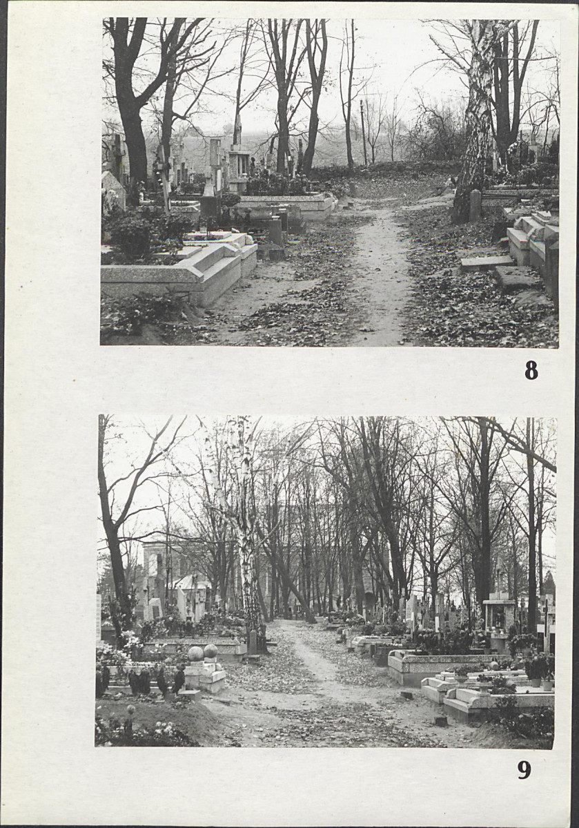 Karta cmentarza, skan nr 9