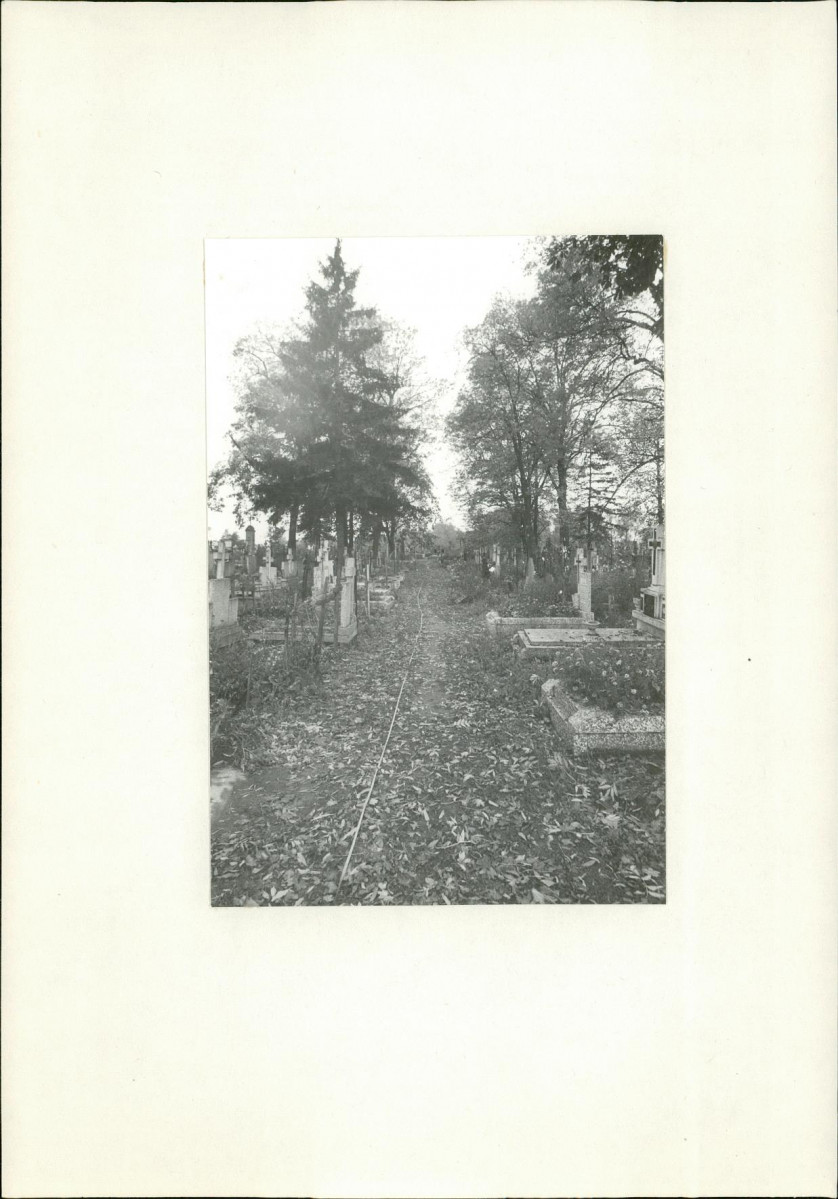 Karta cmentarza, skan nr 7