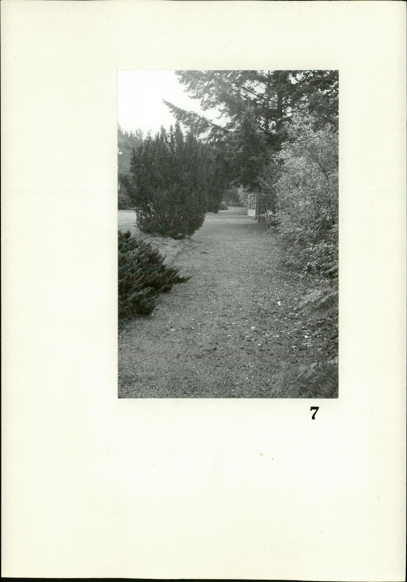 Karta cmentarza, skan nr 8