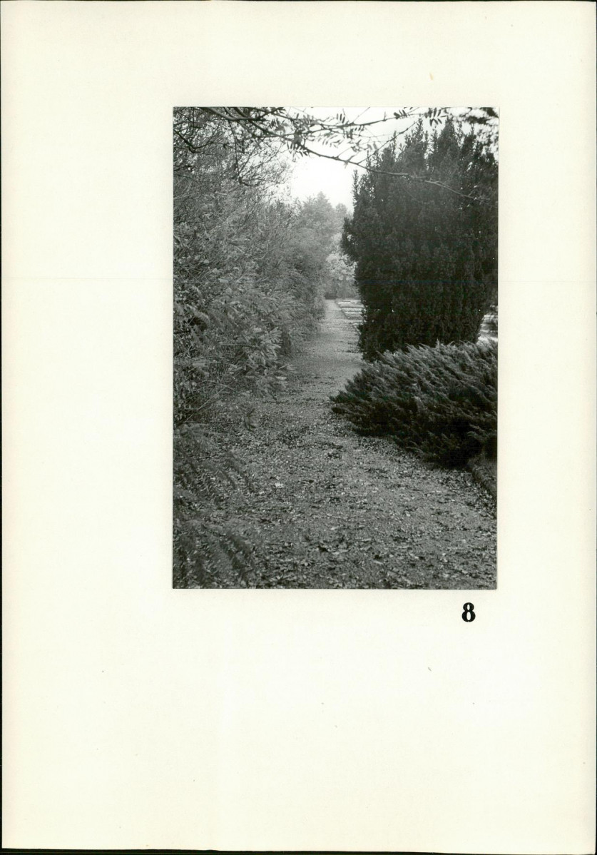 Karta cmentarza, skan nr 9