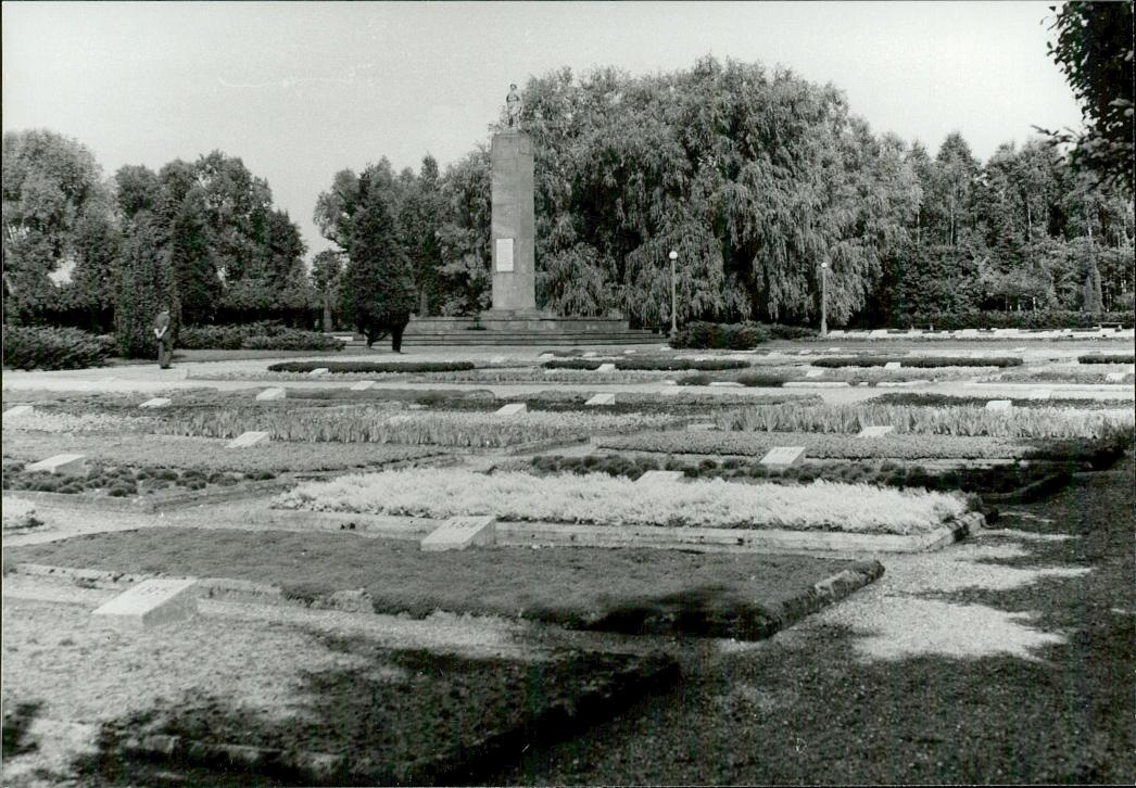 Karta cmentarza, skan nr 25