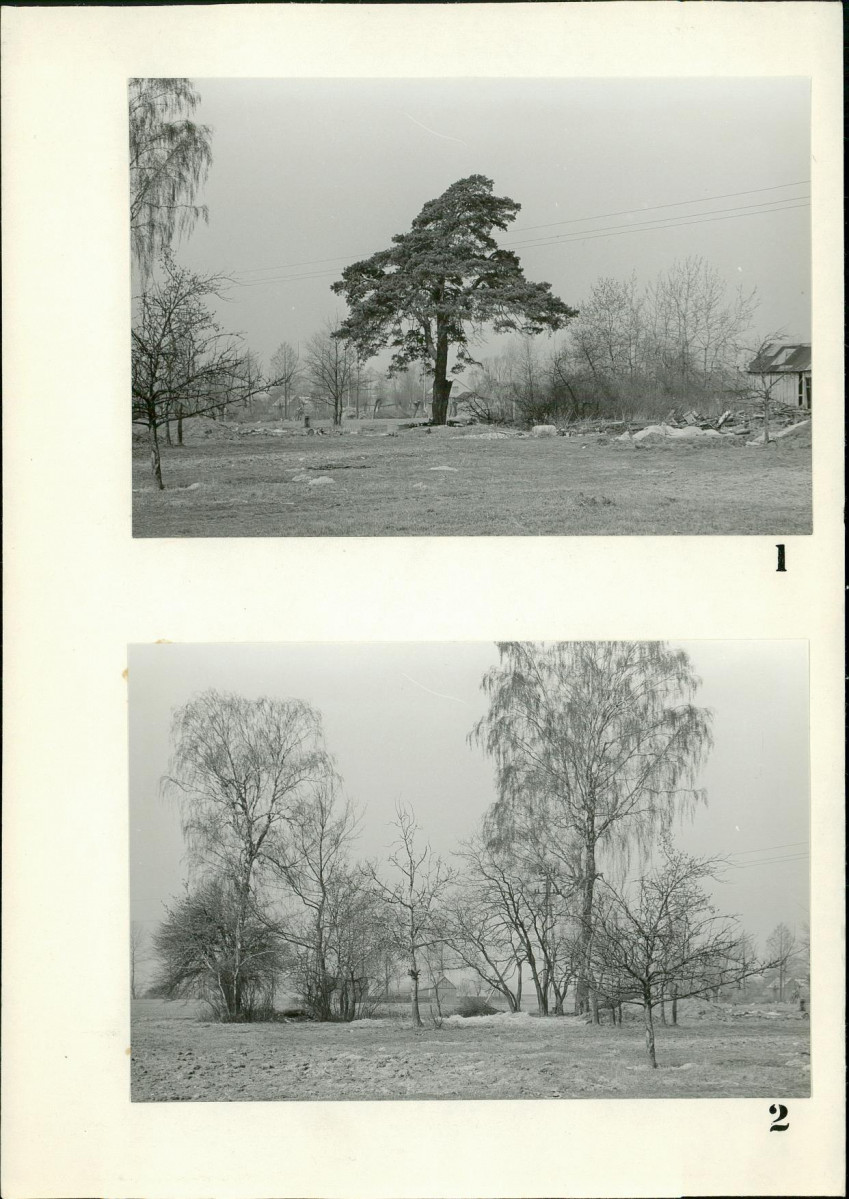 Karta cmentarza, skan nr 5