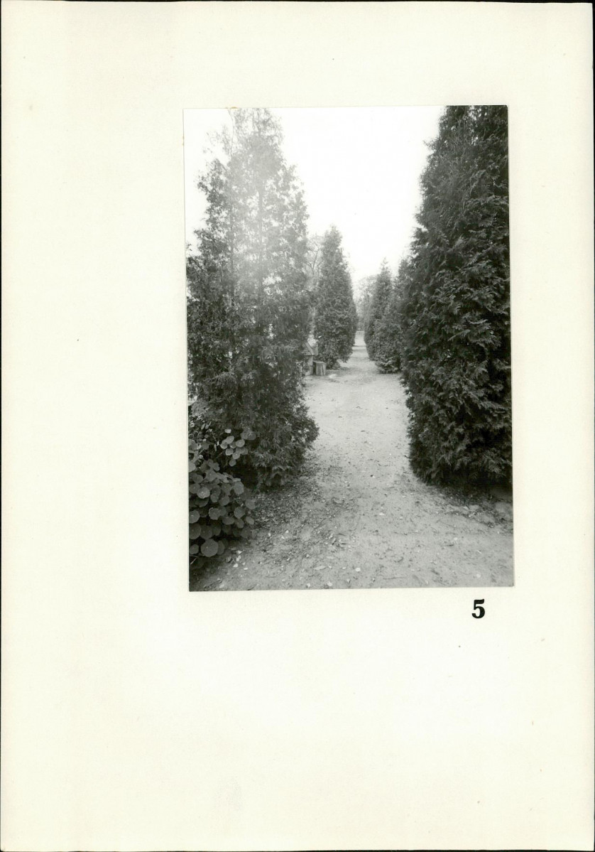 Karta cmentarza, skan nr 7