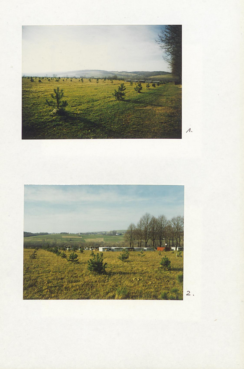 Karta cmentarza, skan nr 4