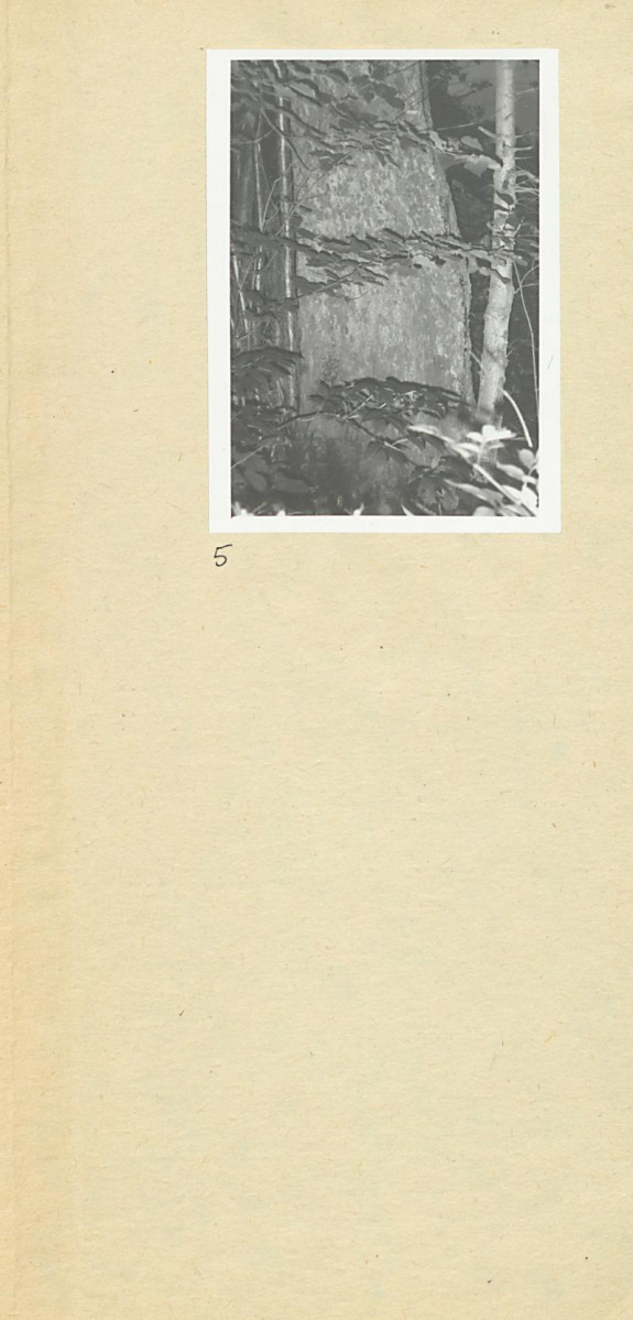 KC - Karta cmentarza, skan nr 6