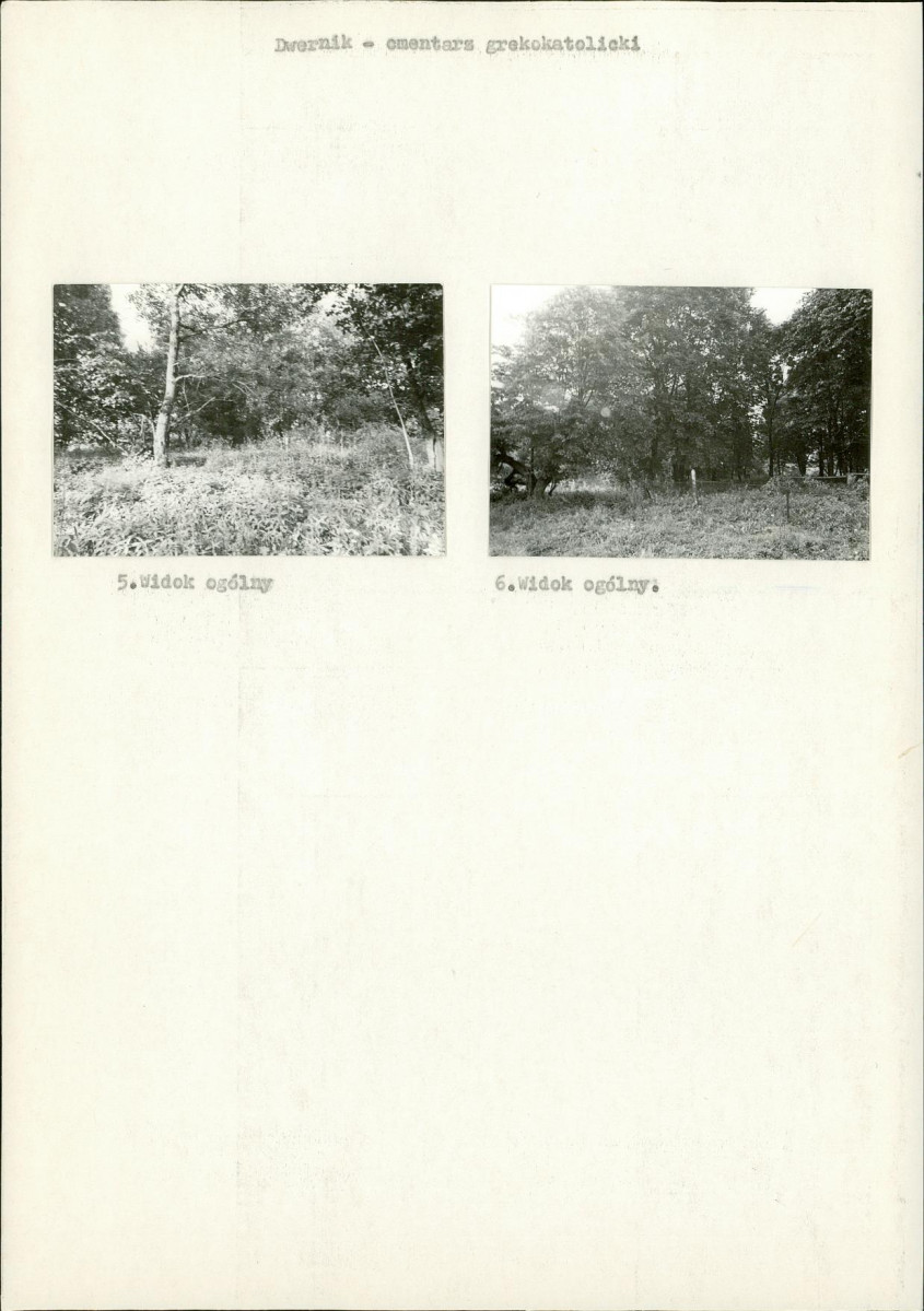 Karta cmentarza, skan nr 5