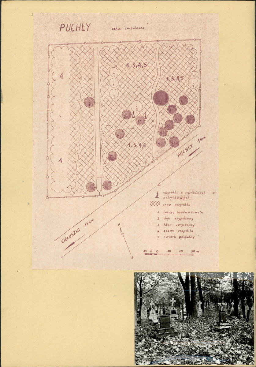 Karta cmentarza, skan nr 3