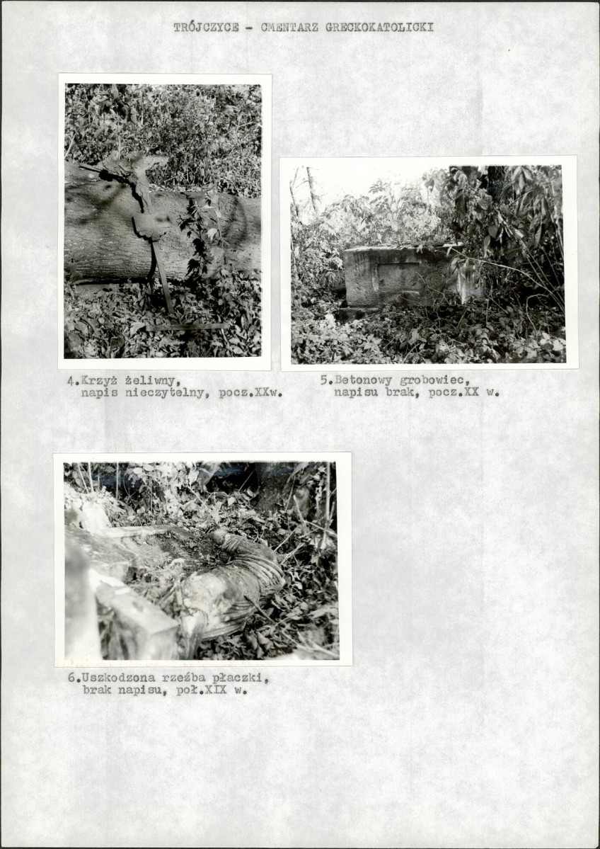 Karta cmentarza, skan nr 5