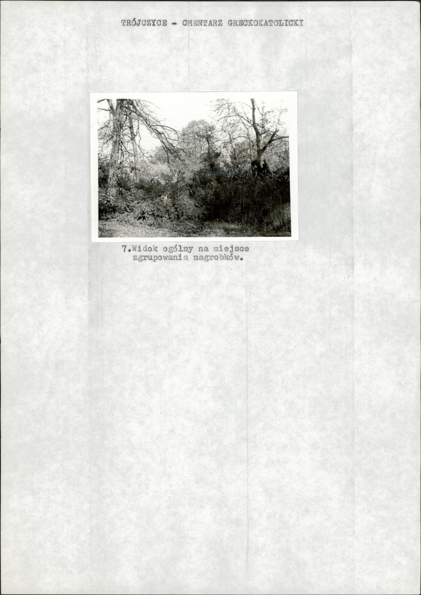 Karta cmentarza, skan nr 6