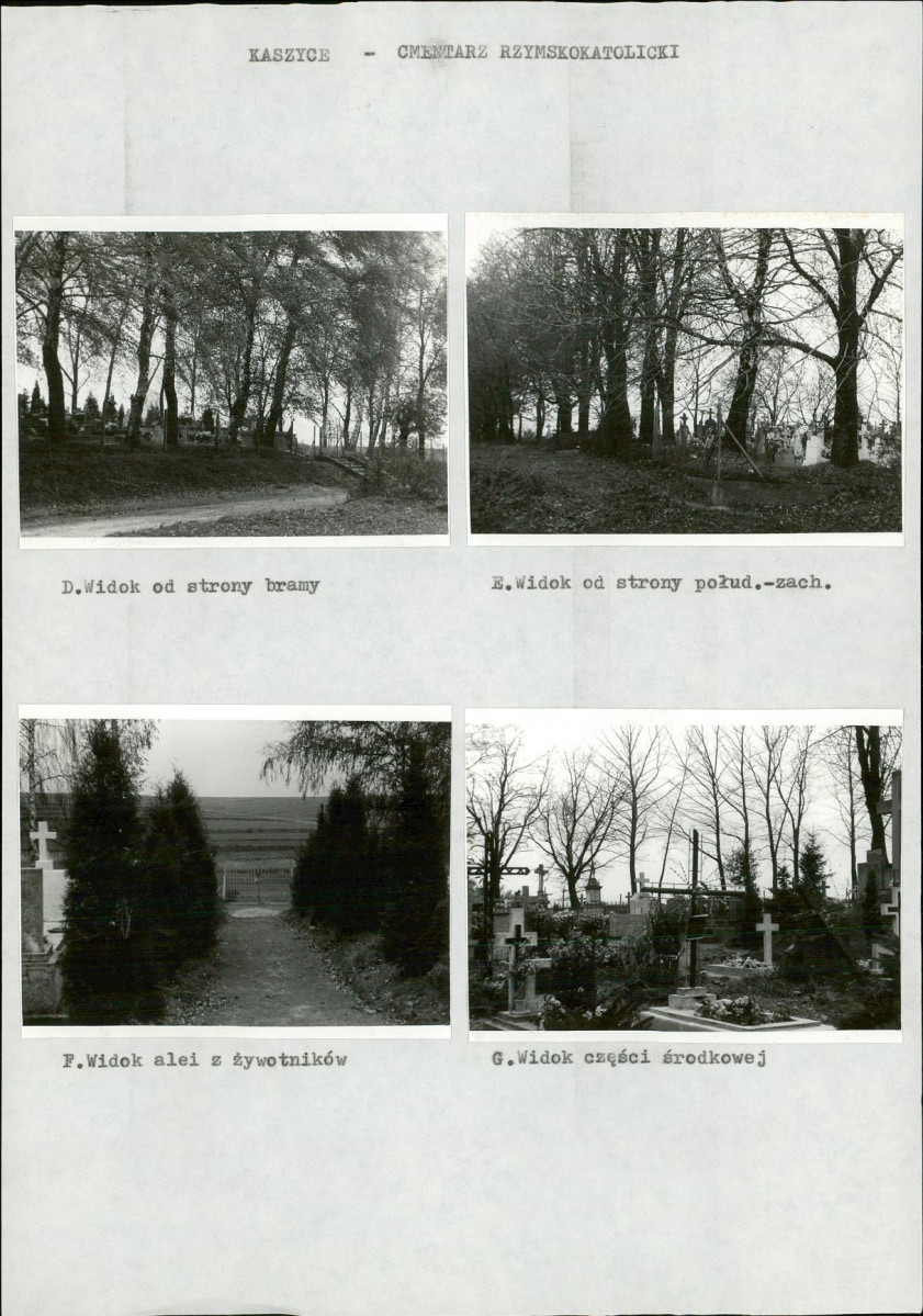 Karta cmentarza, skan nr 5