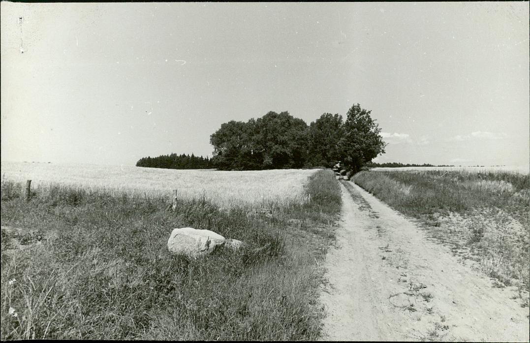 Karta cmentarza, skan nr 5
