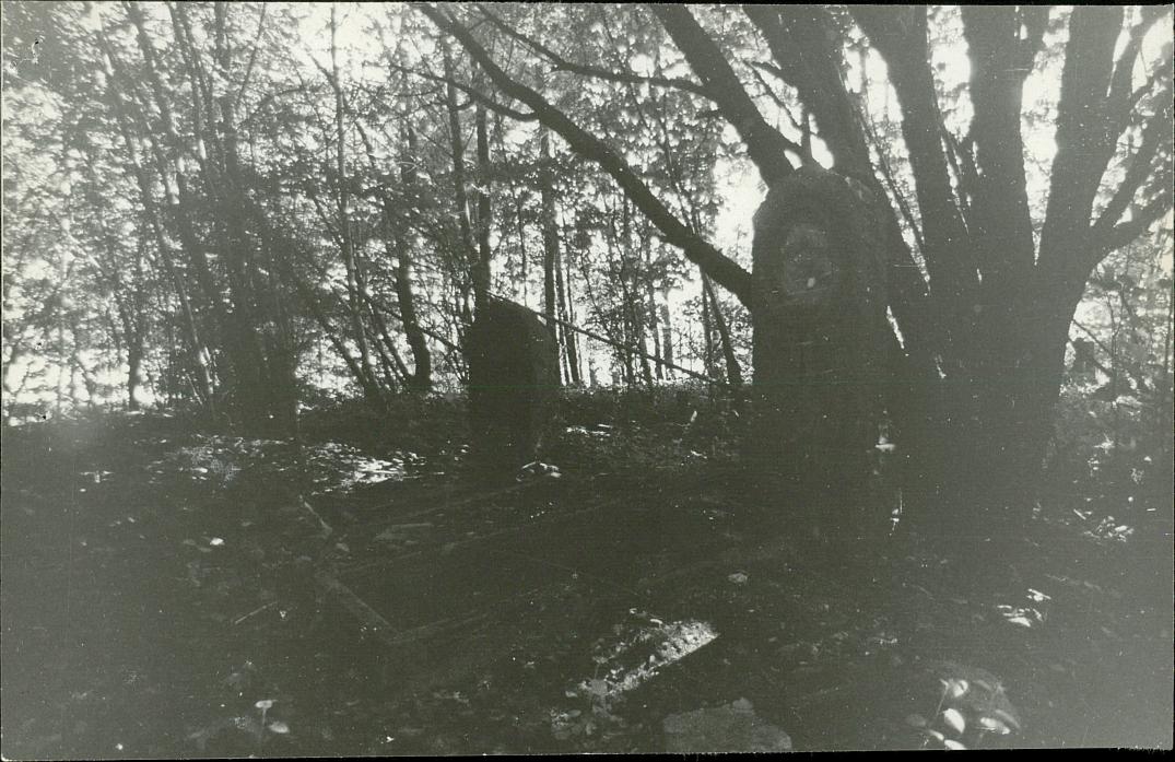 Karta cmentarza, skan nr 6
