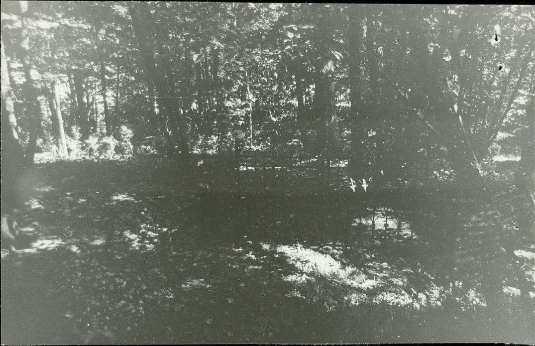 Karta cmentarza, skan nr 7