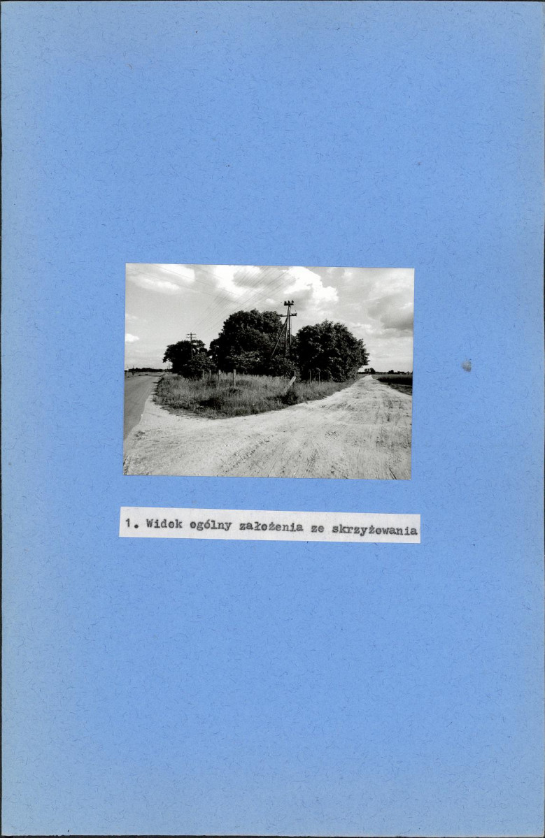 Karta cmentarza, skan nr 4