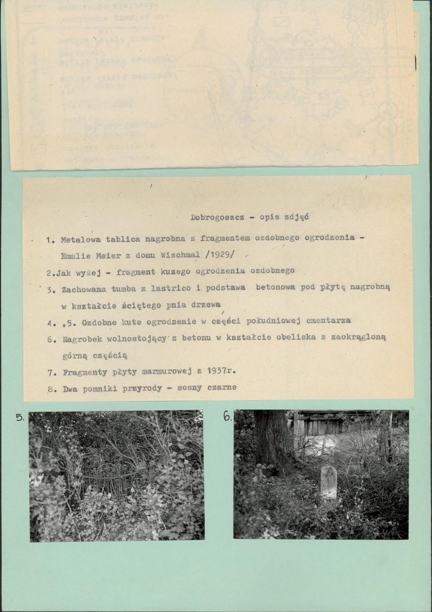Karta cmentarza, skan nr 5