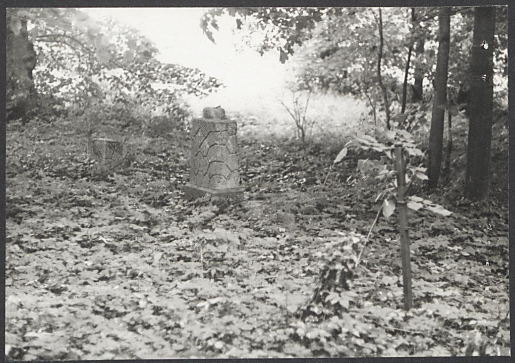 Karta cmentarza, skan nr 6