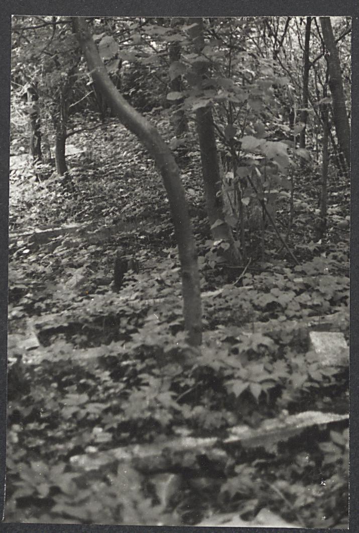 Karta cmentarza, skan nr 7