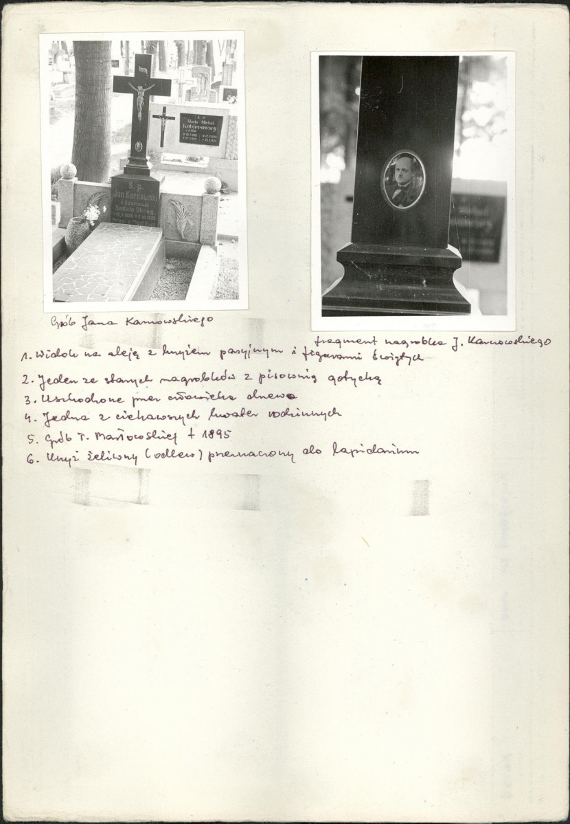 Karta cmentarza, skan nr 6