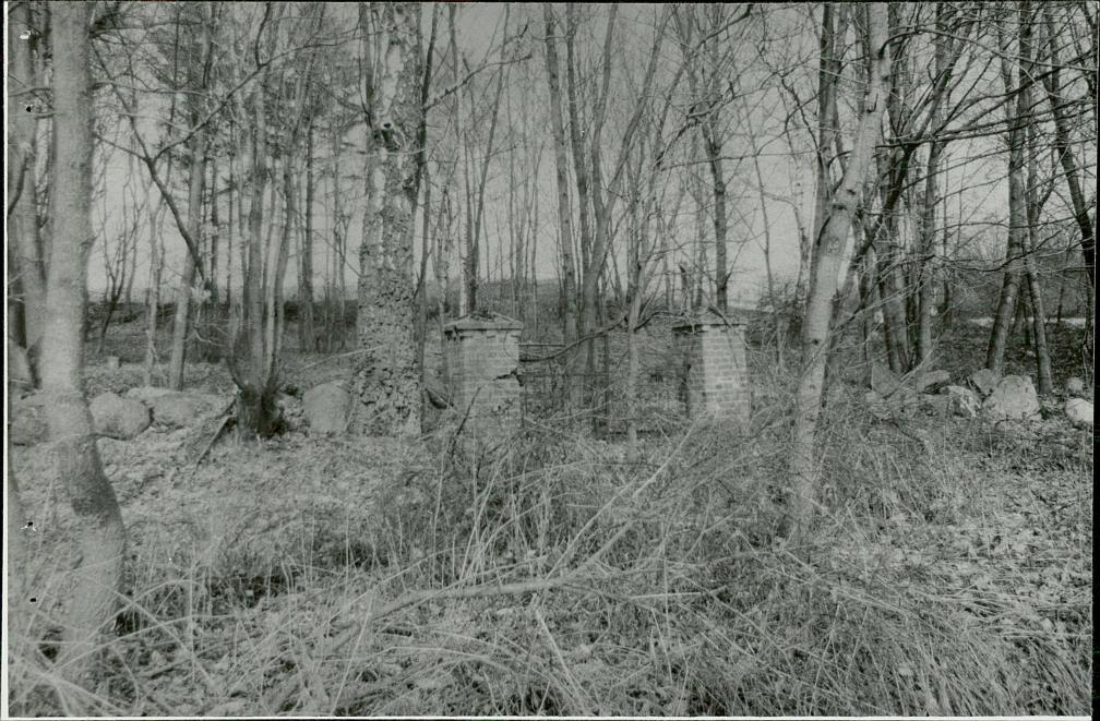 Karta cmentarza, skan nr 7