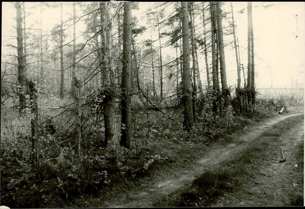 Karta cmentarza, skan nr 6