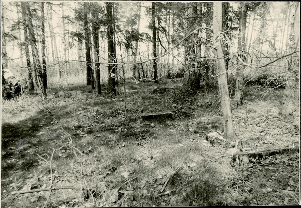 Karta cmentarza, skan nr 7