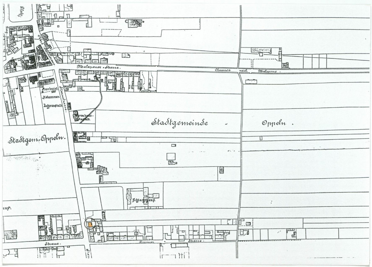 Karta biała, skan nr 6