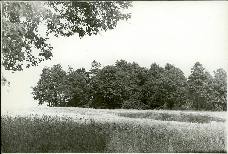Karta cmentarza, skan nr 6