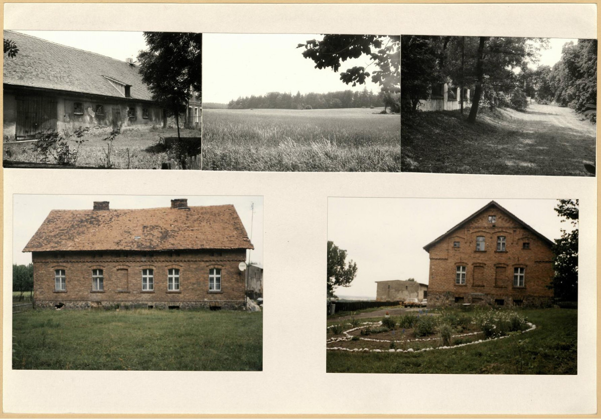 Karta biała, skan nr 12