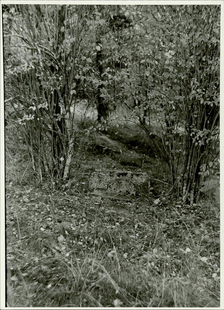 Karta cmentarza, skan nr 5