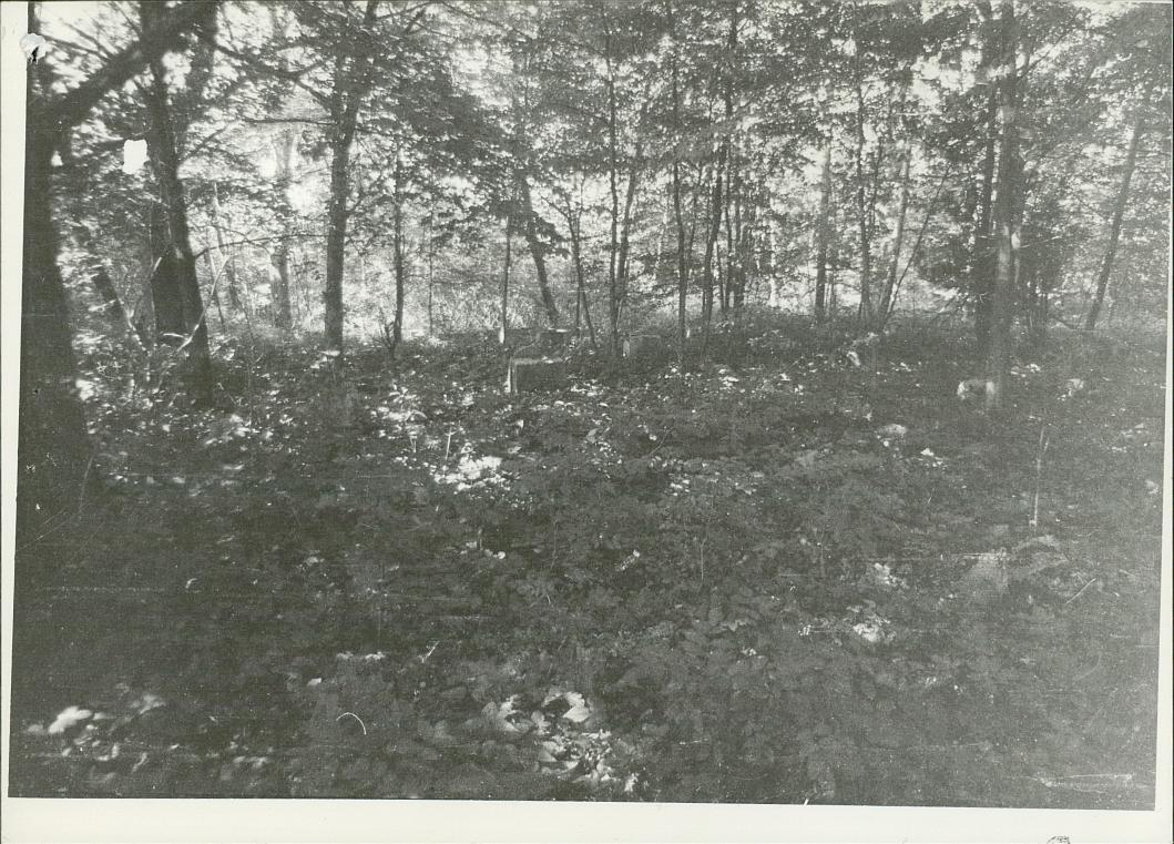 Karta cmentarza, skan nr 6