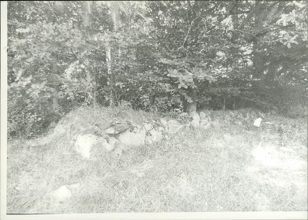 Karta cmentarza, skan nr 7