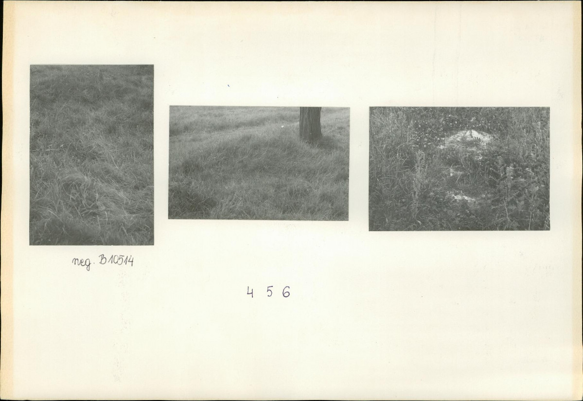 Karta cmentarza, skan nr 6
