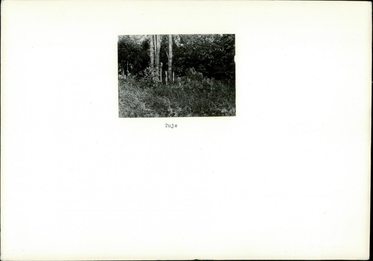 Karta cmentarza, skan nr 6