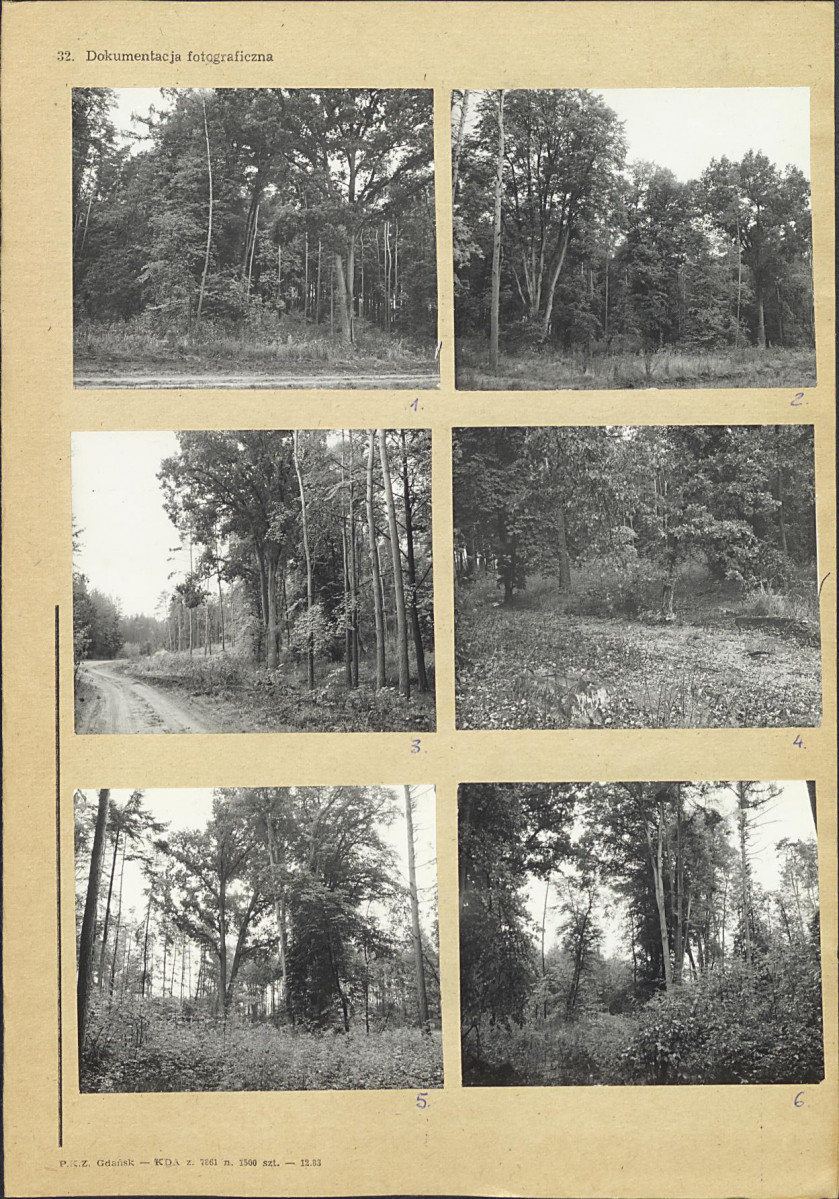 Karta cmentarza, skan nr 5