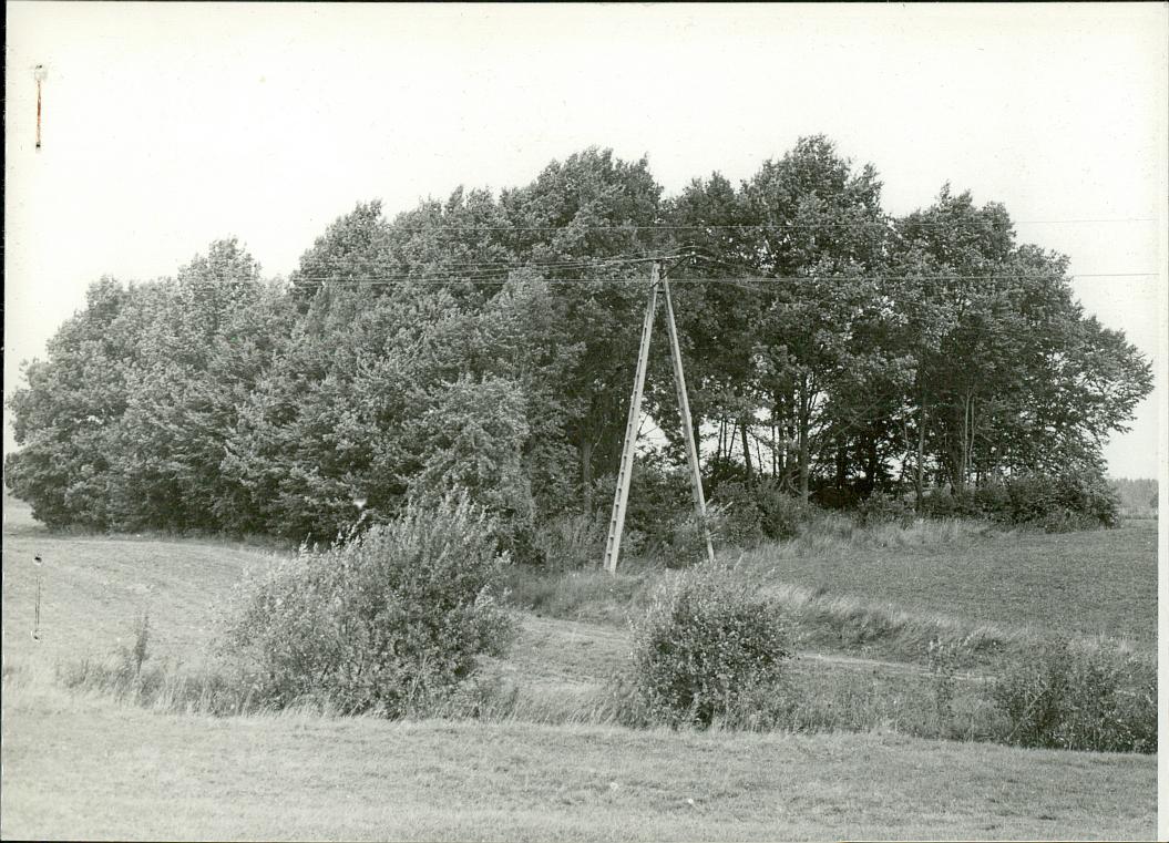 Karta cmentarza, skan nr 4