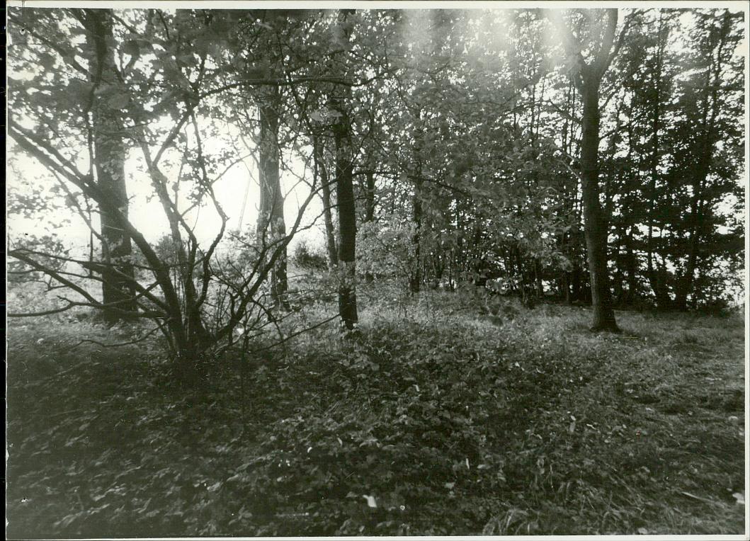 Karta cmentarza, skan nr 5